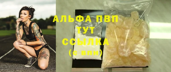 сатива Абинск