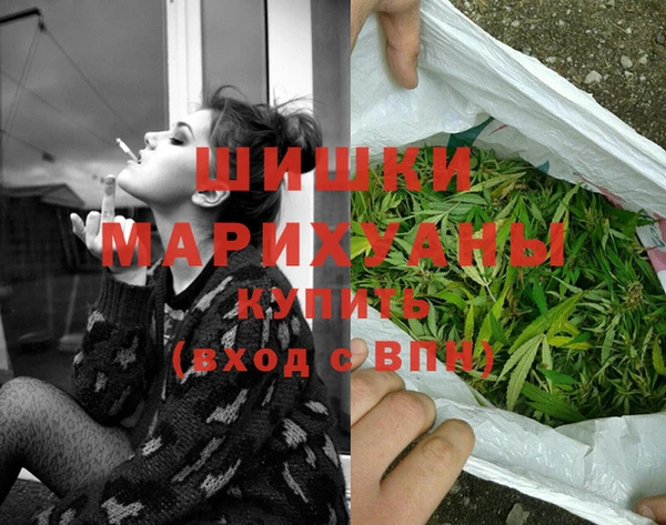 МДПВ Медногорск